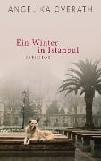 Cover-Bild zum Titel 'Ein Winter in Istanbul' von 'Angelika Overath'