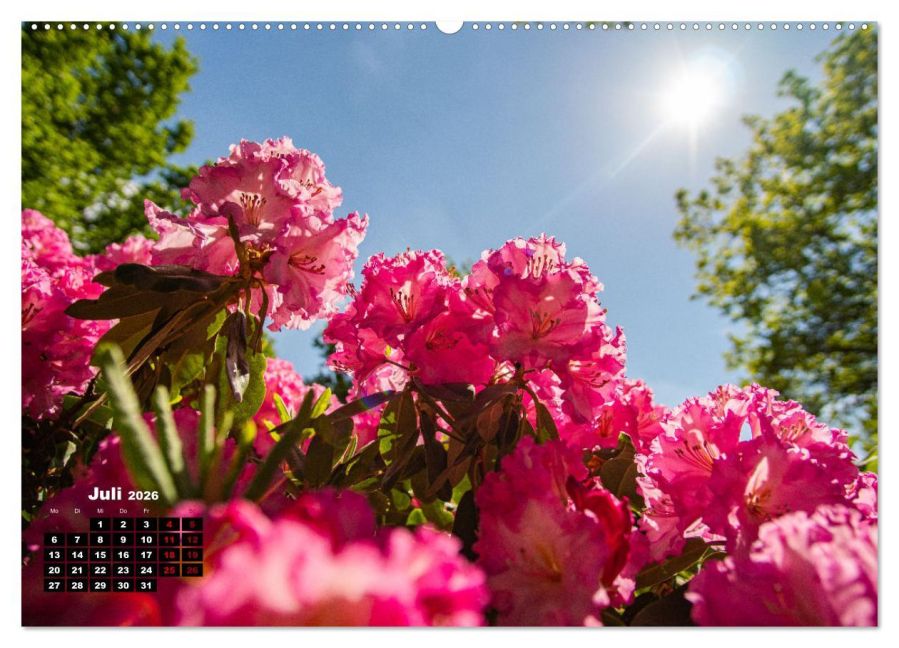 InsideView 11