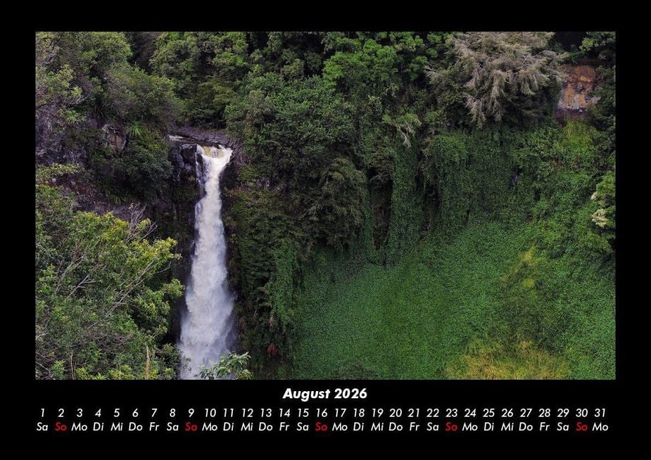 InsideView 12