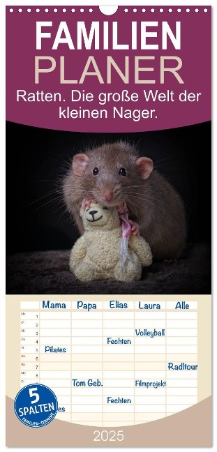 Familienplaner 2025 - Ratten. Die große Welt der kleinen Nager mit 5 Spalten (Wandkalender, 21 x 45 cm) CALVENDO - Thorsten Nilson