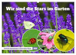 Wir sind die Stars im Garten (Wandkalender 2026 DIN A2 quer), CALVENDO Monatskalender - Christa Kramer