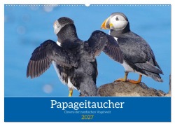 Cover-Bild zum Titel 'Papageitaucher - Clowns der nordischen Vogelwelt (Wandkalender 2027 DIN A2 quer), CALVENDO Monatskalender' von 'Reinhard Pantke'