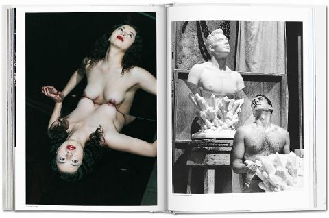 InsideView 12