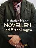 Cover-Bild zum Titel 'Novellen und Erzählungen' von 'Heinrich Mann'