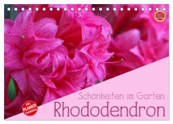 Rhododendron Schönheiten im Garten (Tischkalender 2025 DIN A5 quer), CALVENDO Monatskalender - Martina Cross