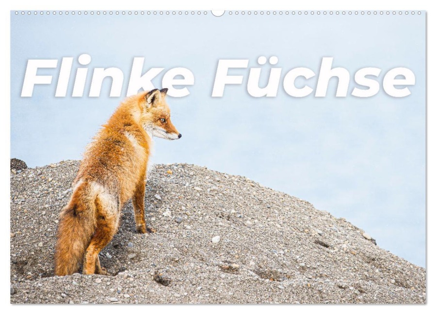 Flinke Füchse (Wandkalender 2026 DIN A2 quer), CALVENDO Monatskalender - Happy Monkey