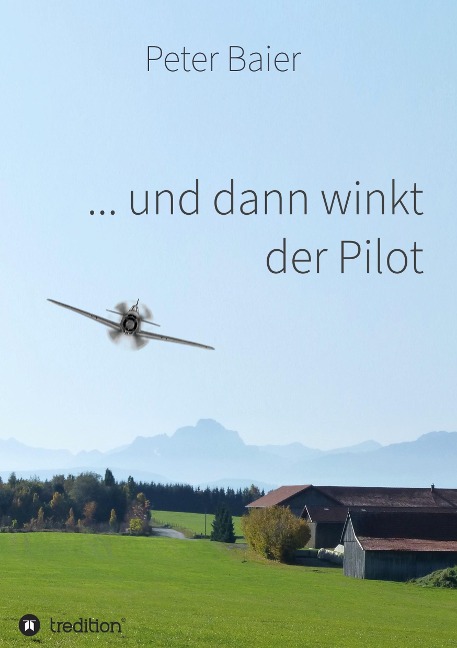 ... und dann winkt der Pilot - Peter Baier