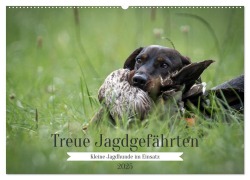 Treue Jagdgefährten - Kleine Jagdhunde im Einsatz (Wandkalender 2025 DIN A2 quer), CALVENDO Monatskalender - Yvonne Streib