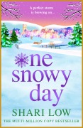 Cover-Bild zum Titel 'One Snowy Day' von 'Shari Low'