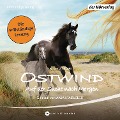 Cover-Bild zum Titel 'Ostwind - Auf der Suche nach Morgen' von 'Lea Schmidbauer'