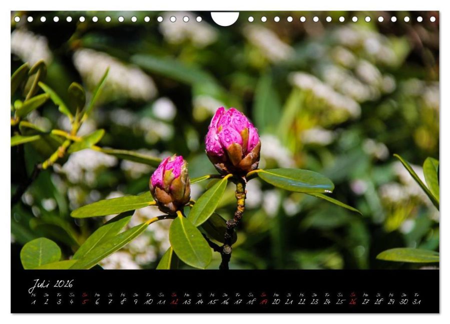 InsideView 12