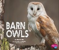 Barn Owls - 