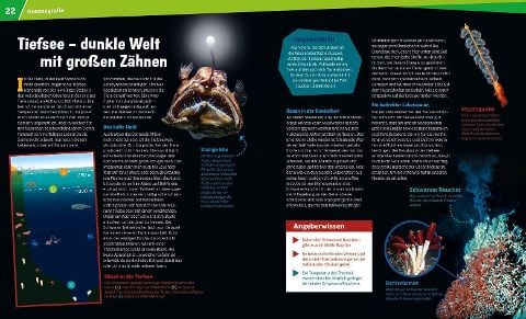 InsideView 2