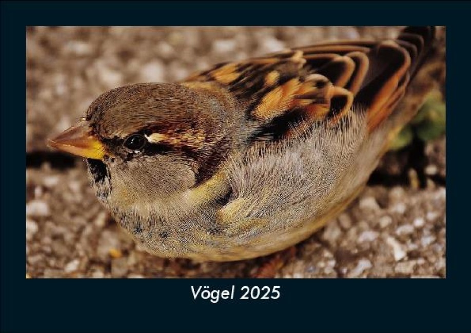 Vögel 2025 Fotokalender DIN A5 - Tobias Becker