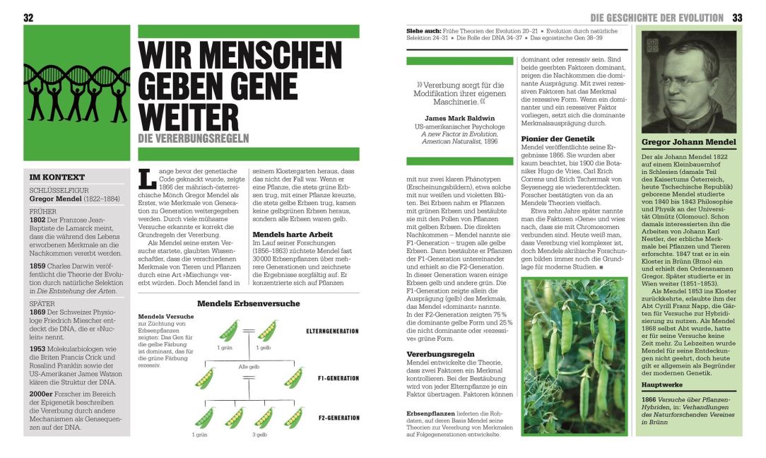 InsideView 4