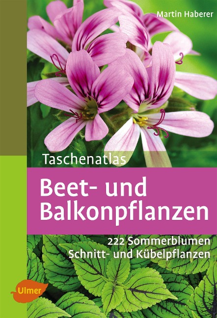 Taschenatlas Beet- und Balkonpflanzen - Martin Haberer