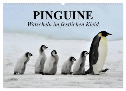 Cover-Bild zum Titel 'Pinguine - Watscheln im festlichen Kleid (Wandkalender 2026 DIN A2 quer), CALVENDO Monatskalender' von 'Elisabeth Stanzer'