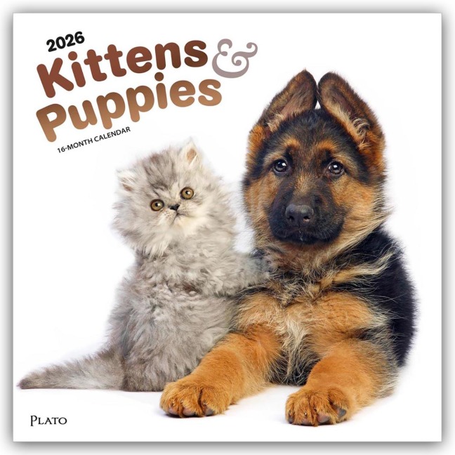 Kittens & Puppies - Kätzchen & Welpen 2026 - 16-Monatskalender - Browntrout Publishers