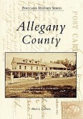 Cover-Bild zum Titel 'Allegany County' von 'Albert L. Feldstein'