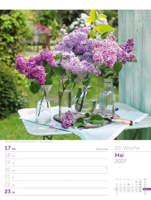 InsideView 24