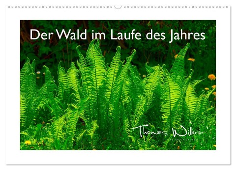 Der Wald im Laufe des Jahres (Wandkalender 2024 DIN A2 quer), CALVENDO Monatskalender - Thomas Willerer