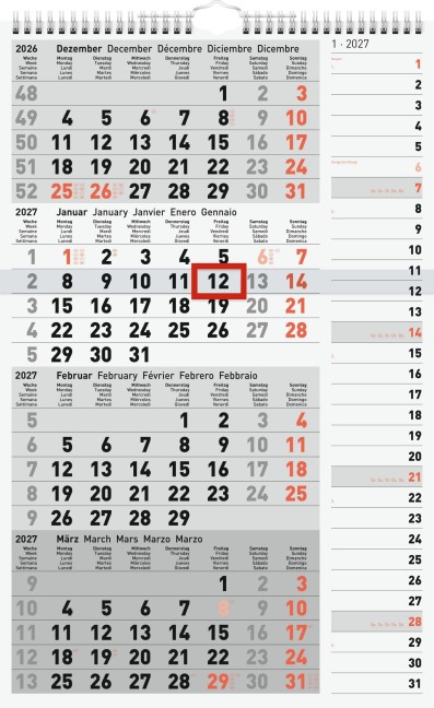 rido/idé 7033430007 4-Monatskalender 2027 grau, 300×490 mm - 
