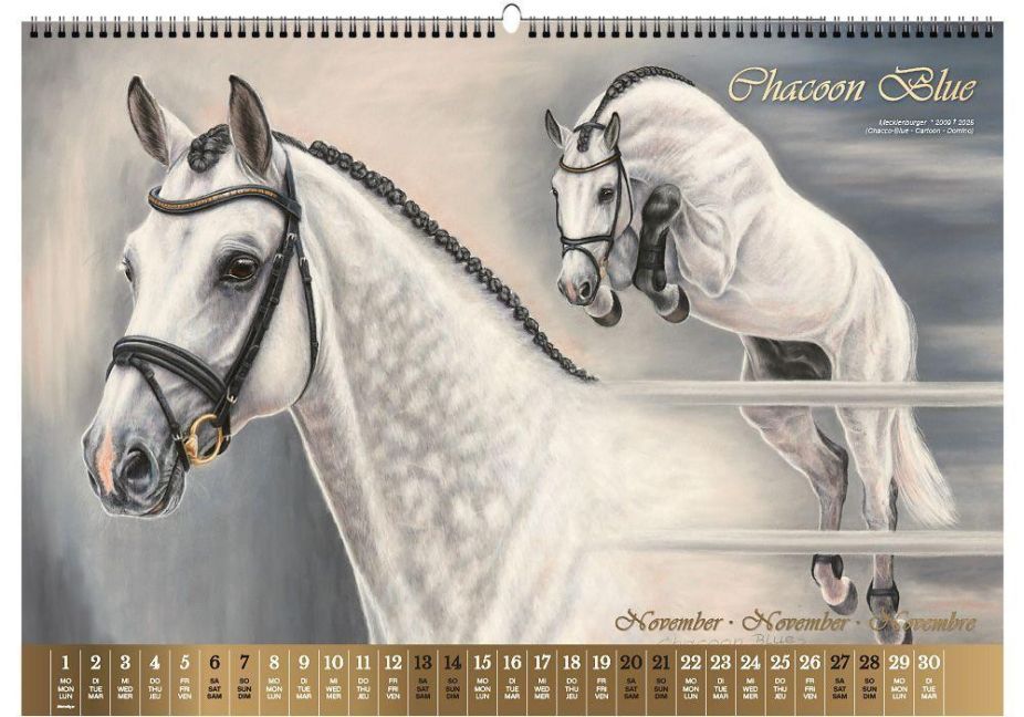 InsideView 12