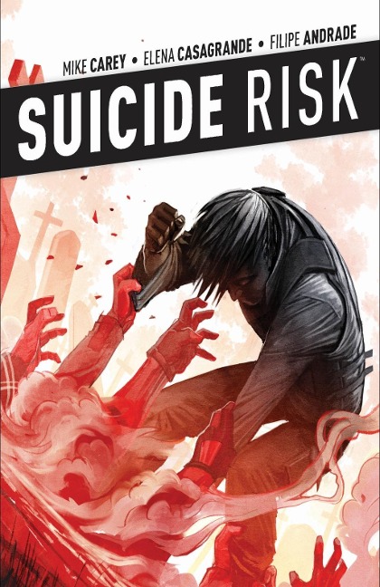 Suicide Risk Vol. 4 - Mike Carey