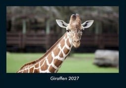Cover-Bild zum Titel 'Giraffen 2027 Fotokalender DIN A4' von 'Tobias Schmitt, Kevin Heber'