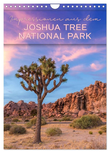Impressionen aus dem JOSHUA TREE NATIONAL PARK (Wandkalender 2024 DIN A4 hoch), CALVENDO Monatskalender - Melanie Viola