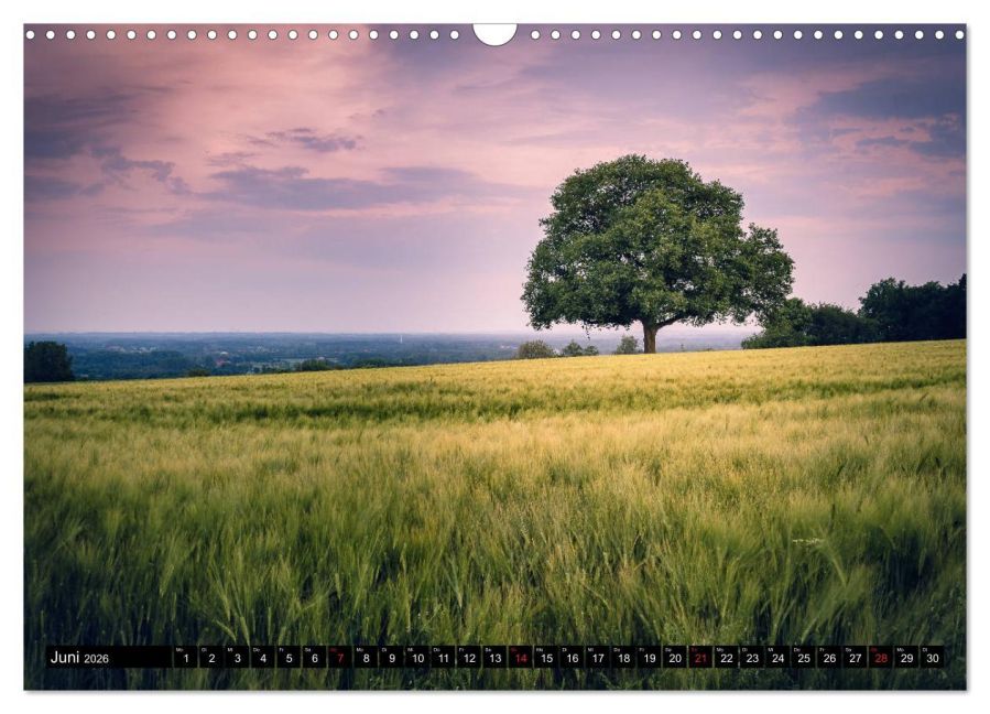 InsideView 11