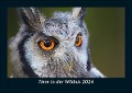 Tiere in der Wildnis 2024 Fotokalender DIN A5 - Tobias Becker