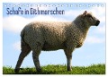 Schafe in Dithmarschen (Tischkalender 2025 DIN A5 quer), CALVENDO Monatskalender - Richard Tito