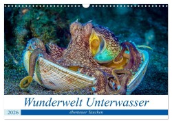 Cover-Bild zum Titel 'Wunderwelt Unterwasser (Wandkalender 2026 DIN A3 quer), CALVENDO Monatskalender' von 'Dieter Gödecke'