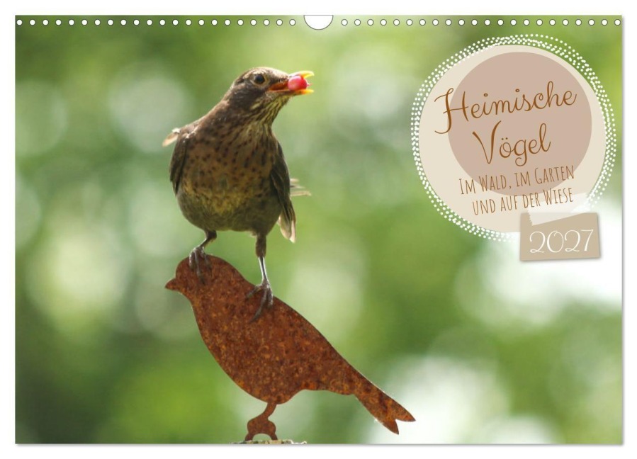 Heimische Vögel - Im Wald, im Garten und auf der Wiese (Wandkalender 2027 DIN A3 quer), CALVENDO Monatskalender - Angela Merk