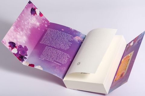 InsideView 6