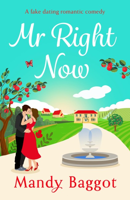 Mr Right Now - Mandy Baggot