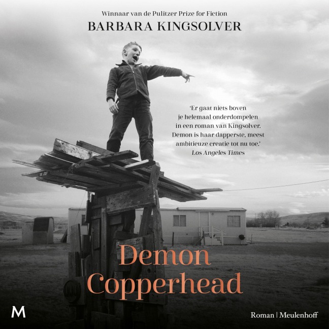 Demon Copperhead - Barbara Kingsolver