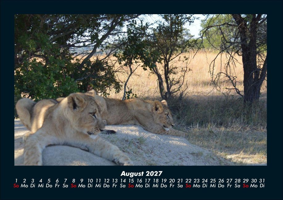 InsideView 12