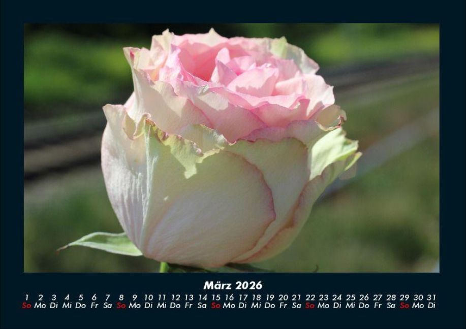 InsideView 7