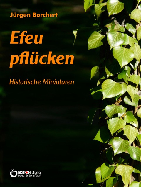 Efeu pflücken - Jürgen Borchert