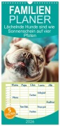 Familienplaner 2026 - Lächelnde Hunde sind wie Sonnenschein auf vier Pfoten mit 5 Spalten (Wandkalender, 21 x 45 cm) CALVENDO - 