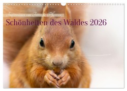 Cover-Bild zum Titel 'Schönheiten des Waldes (Wandkalender 2026 DIN A3 quer), CALVENDO Monatskalender' von 'Manuela Hartmann'