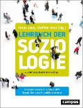 Staat, Herrschaft und Demokratie - Stephan Lessenich, Claus Offe