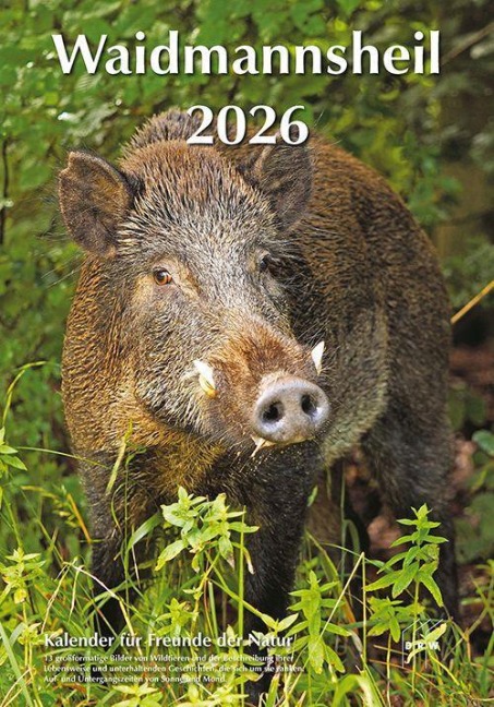Waidmannsheil 2026 - 