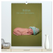 Babys - Die Liebe des Lebens (hochwertiger Premium Wandkalender 2026 DIN A2 hoch), Kunstdruck in Hochglanz - Sascha Drömer Photography