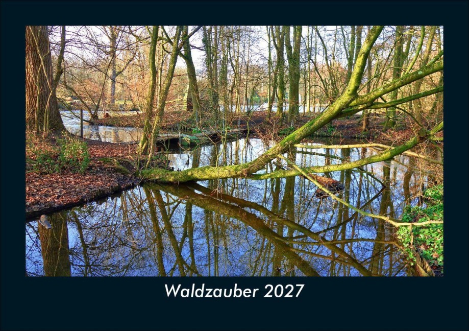 Waldzauber 2027 Fotokalender DIN A5 - Tobias Schmitt, Kevin Heber