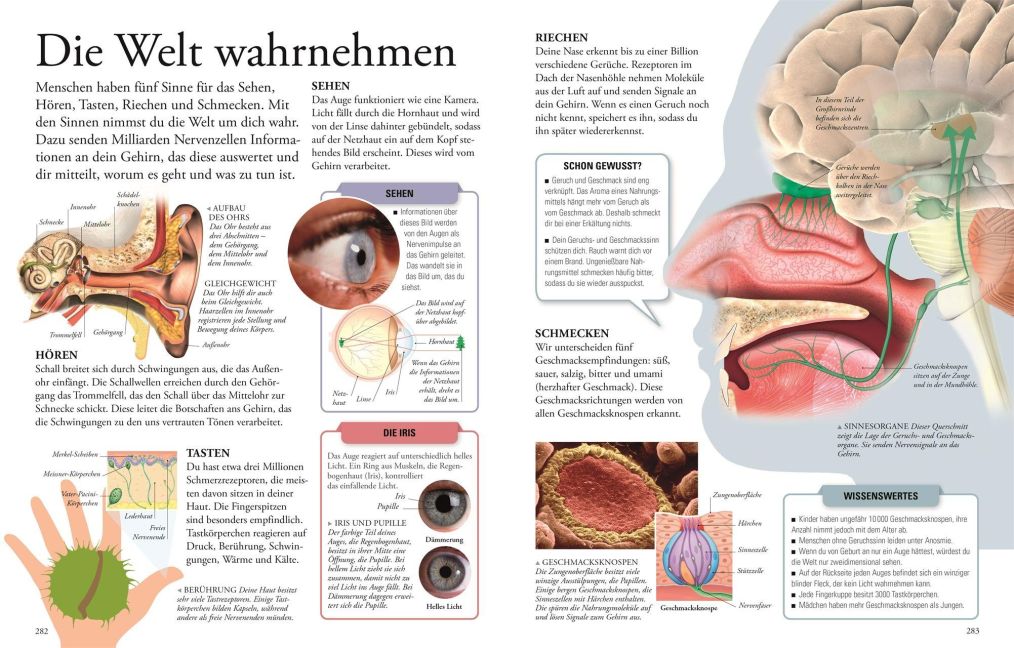 InsideView 7