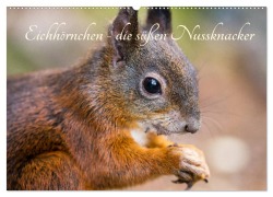 Eichhörnchen - die süßen Nussknacker (Wandkalender 2025 DIN A2 quer), CALVENDO Monatskalender - Alena Holtz
