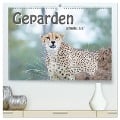 Geparden - schnelle Jäger (hochwertiger Premium Wandkalender 2024 DIN A2 quer), Kunstdruck in Hochglanz - Robert Styppa